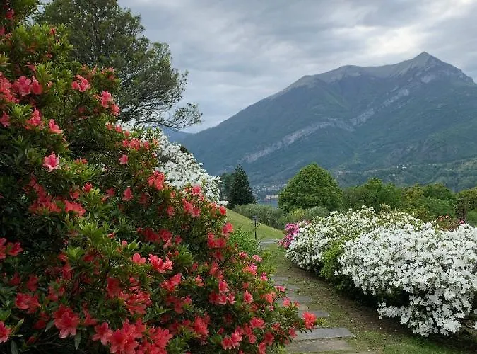 Il Poggio Di Белладжо