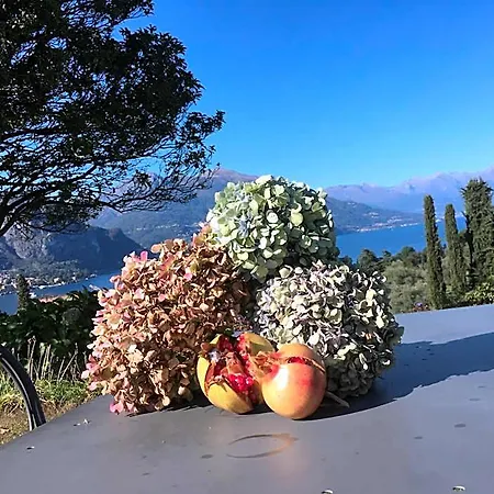 Il Poggio Di 4*