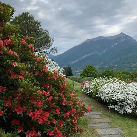 Il Poggio Di Белладжо