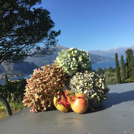 Aparthotel Il Poggio Di